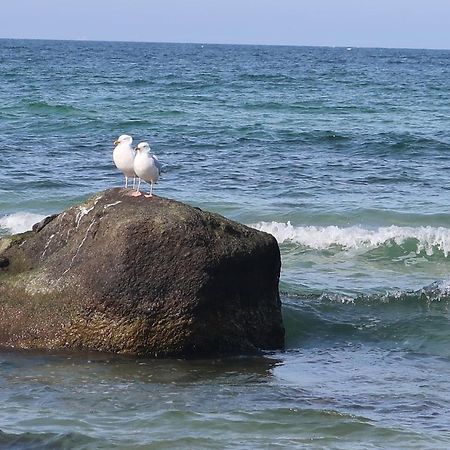 Fewowiek39 Wiek auf Rügen Esterno foto