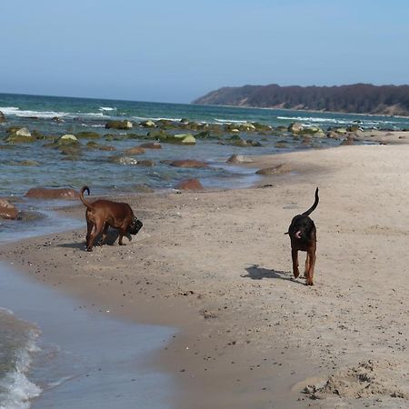 Fewowiek39 Wiek auf Rügen Esterno foto