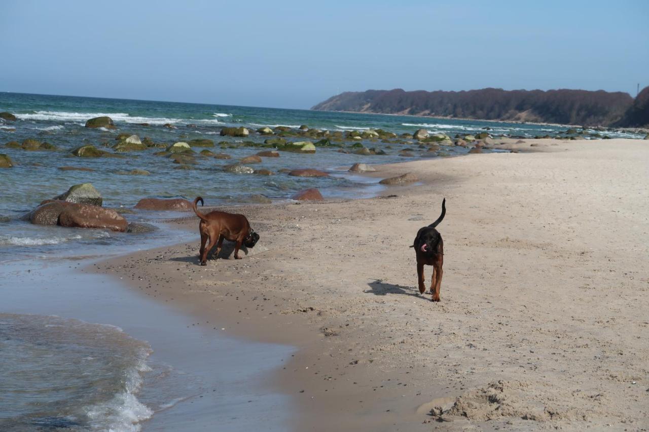 Fewowiek39 Wiek auf Rügen Esterno foto